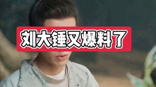 刘大锤八卦爆料视频大全,八卦爆料视频大全精彩回顾