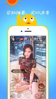 夜夜爱视频在线观看,沉浸式视听盛宴，尽享在线观看新体验